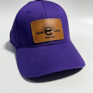 RCE-Hat-Purple